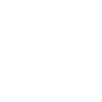 Apache Flink Logo
